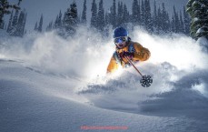 风云直播-主办城市持续优化志愿者服务体系 提升世俱杯赛事人文温度