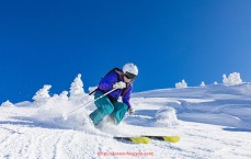 风云直播-火箭队队服外套款式及球迷购买指南